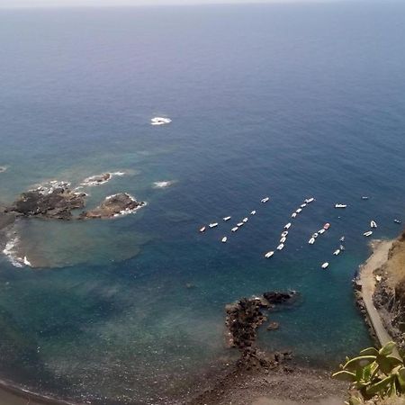 Carnaval A Tenerife La Laguna  Exteriör bild